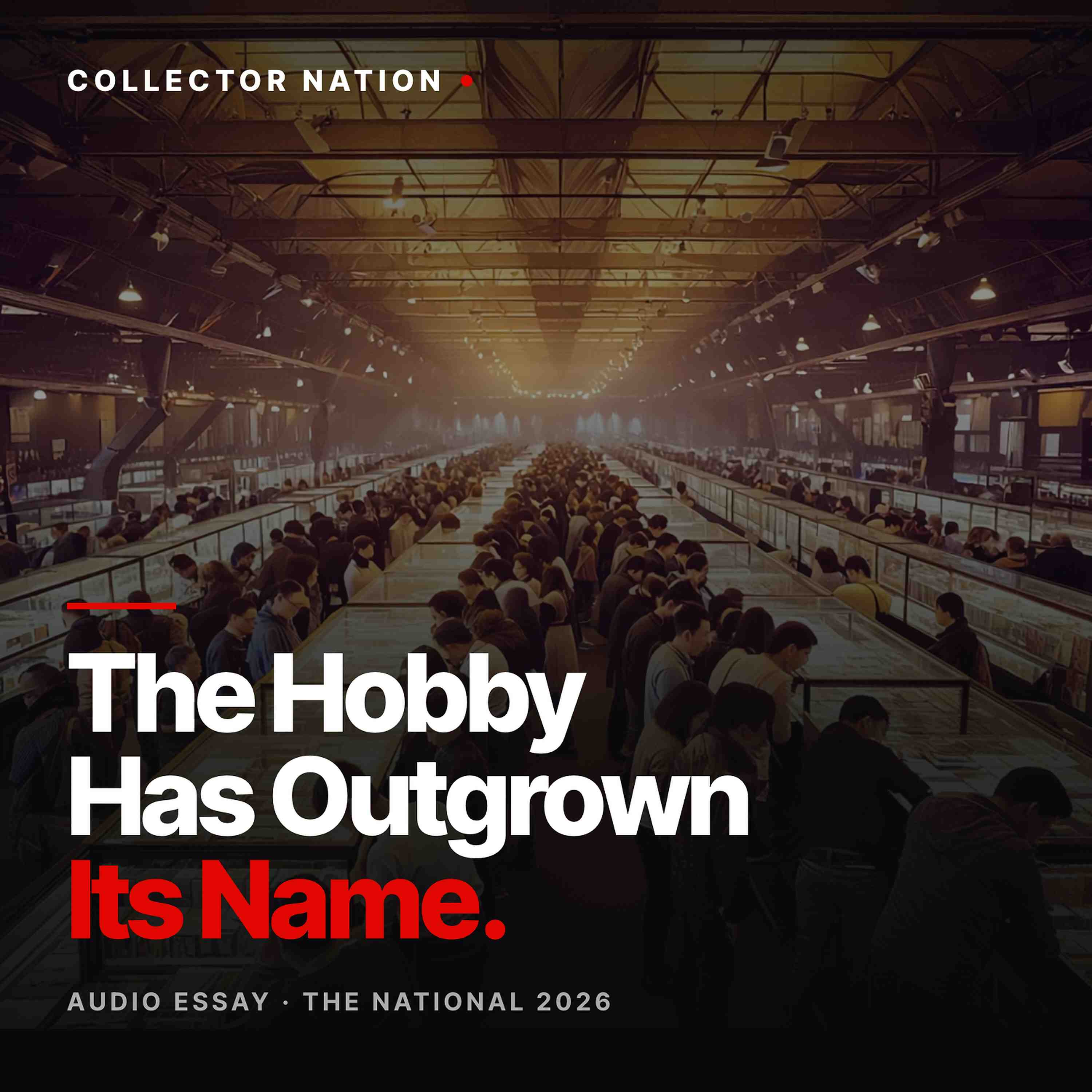 The Hobby Has Outgrown Its Name | An Audio Essay from The National 2026