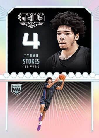 Gala insert (/8)