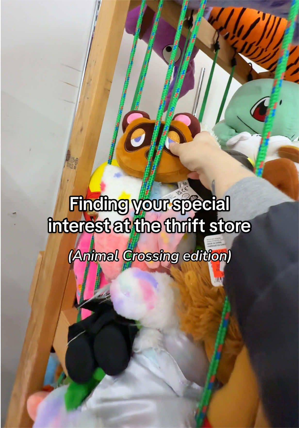 Somehow most of these specific plushies were missing in our collection too! 🥹 #animalcrossing #thriftfinds #acnh #thrifthaul #plushies
