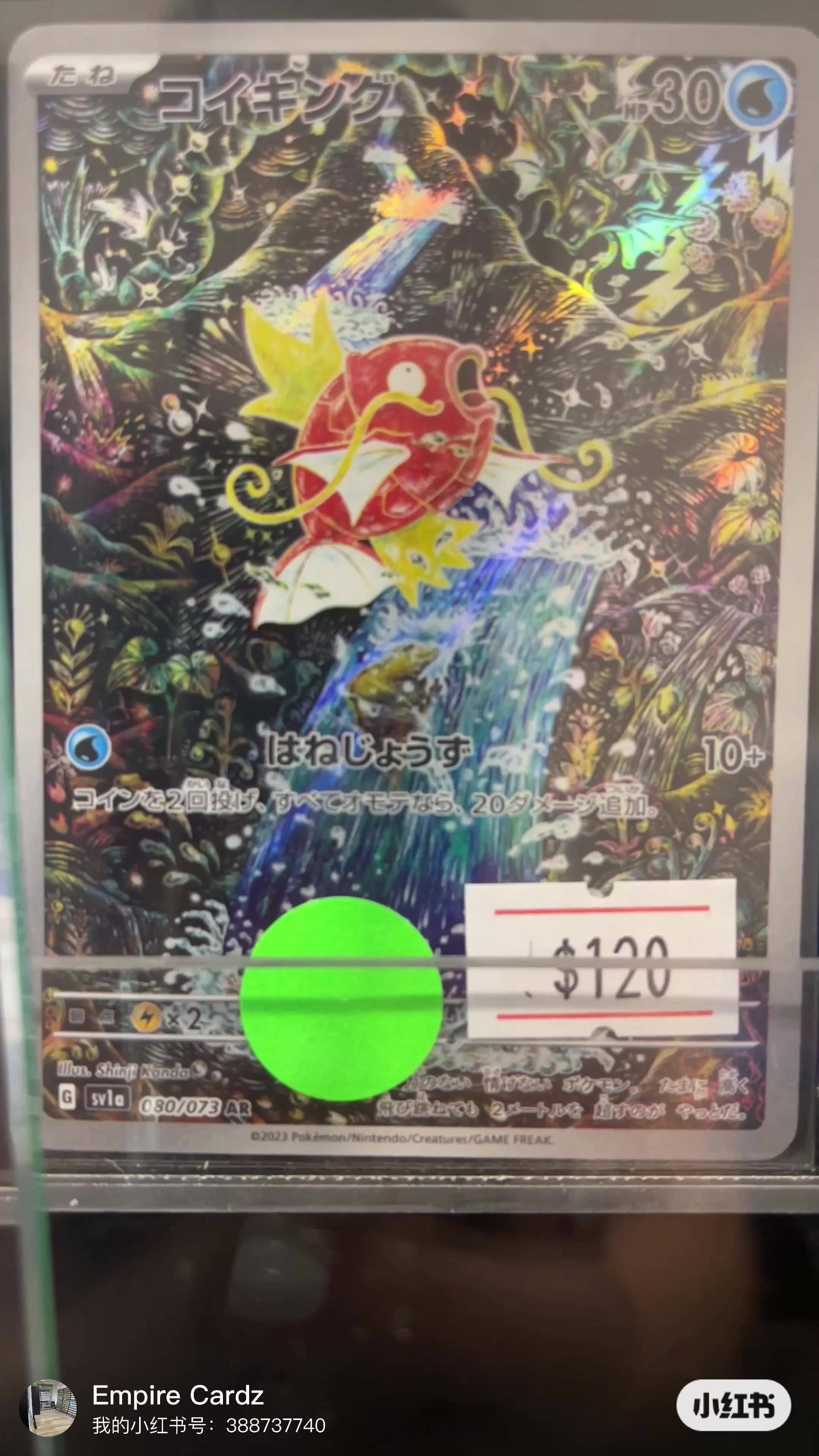 Tia Gong AR 🔥🔥🔥 We’ve quite a decent selection of ARs for sale! Come check it out! #pokemon #pokemontcg #pokemontiktok #pokemontiktok #p