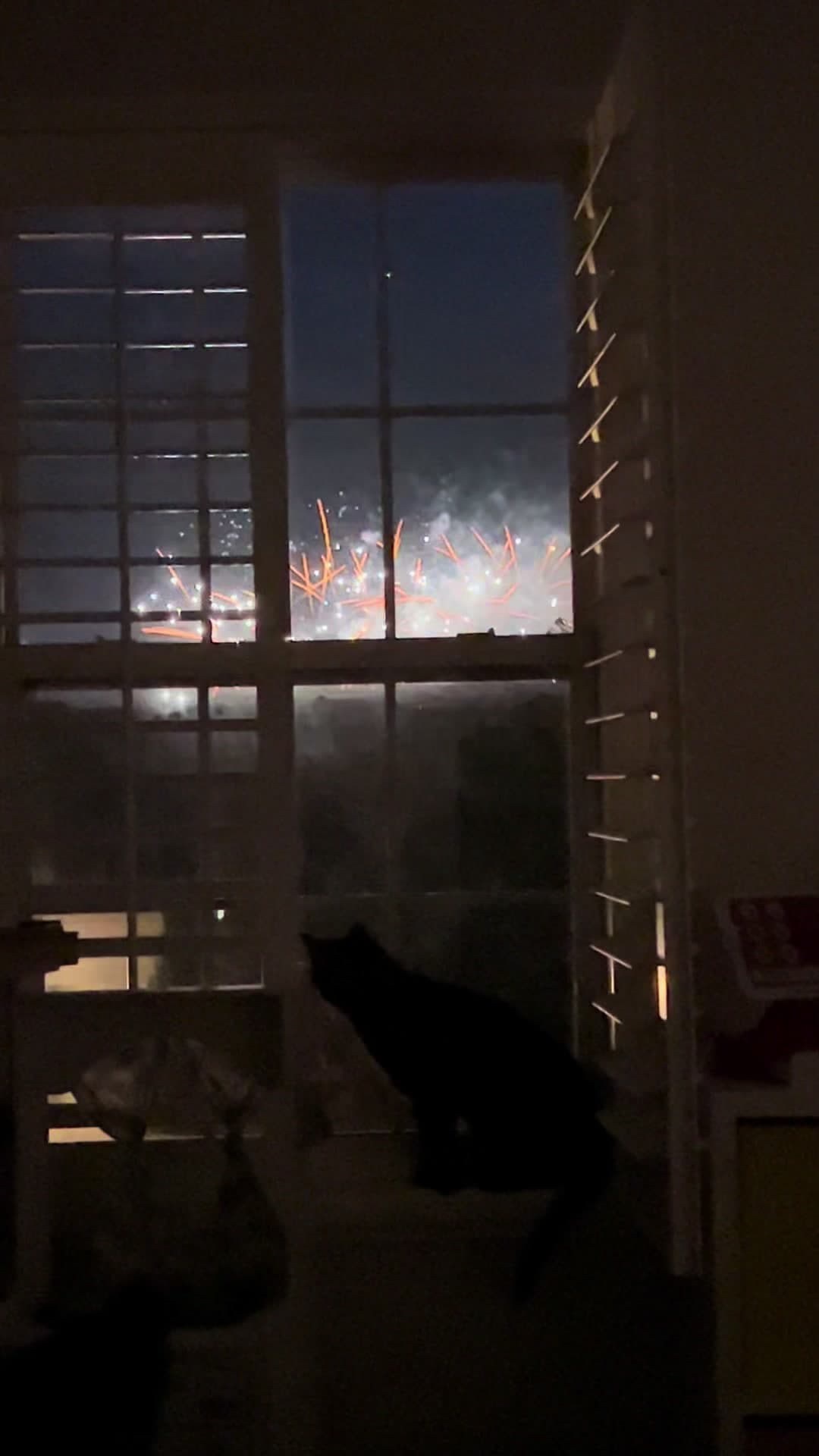 Our neighborhood fireworks show is seriously awesome every year. The kids get front-row seats from the comfort of the couch in their playroom, and even Ellie stayed to watch the whole thing. Nonstop fireworks, cozy couch, happy kids, and one very curious cat. Happy Birthday, America! 🇺🇸🎆🐾 #FourthOfJuly #Fireworks #HappyBirthdayAmerica #FamilyMemories #CatLife