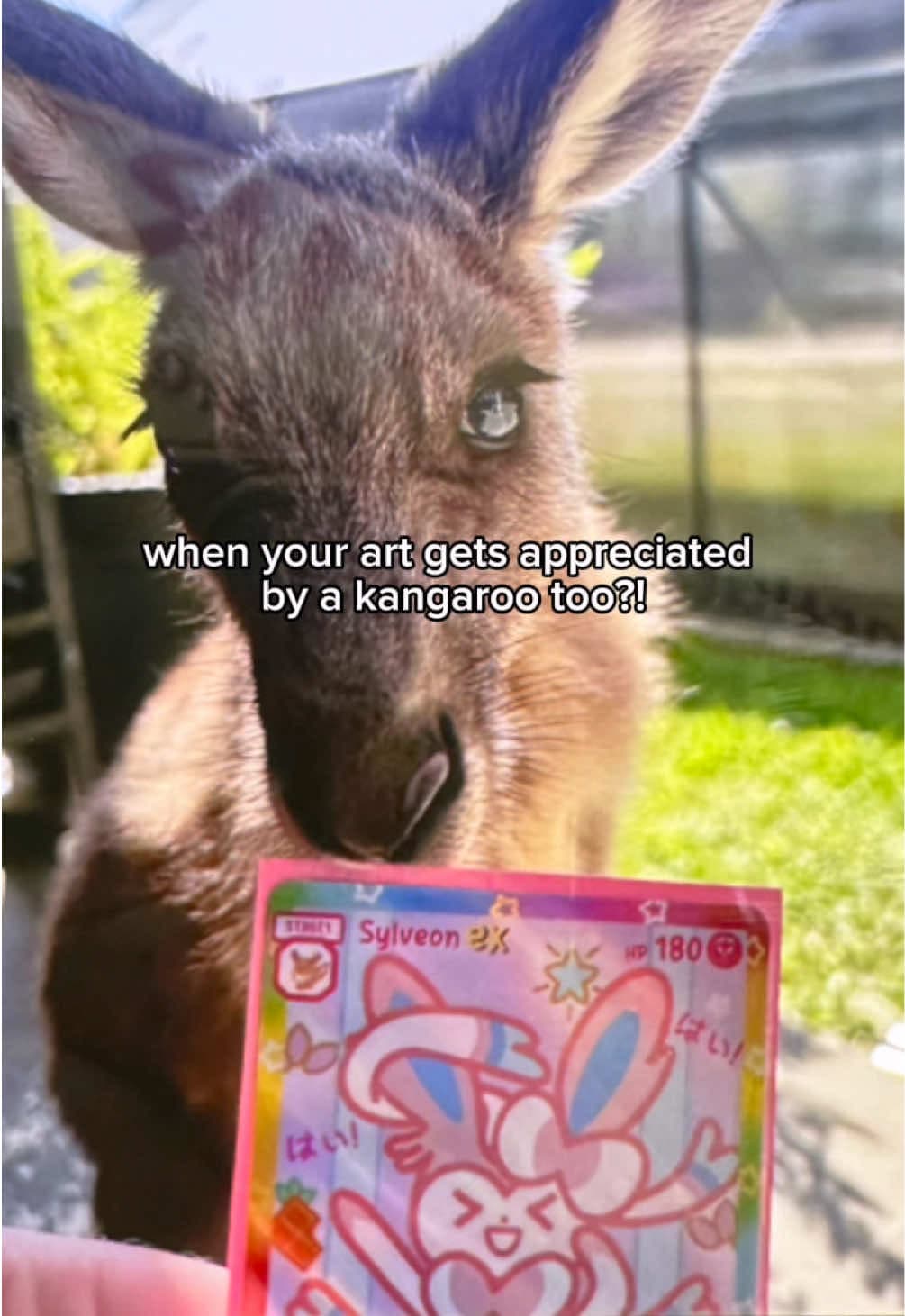 Still thinking about all the little moments from Kawaii Kon🥹 Especially the Sylveon card with kangaroo HAHAHA🤣🤣 Thank you for all the sup