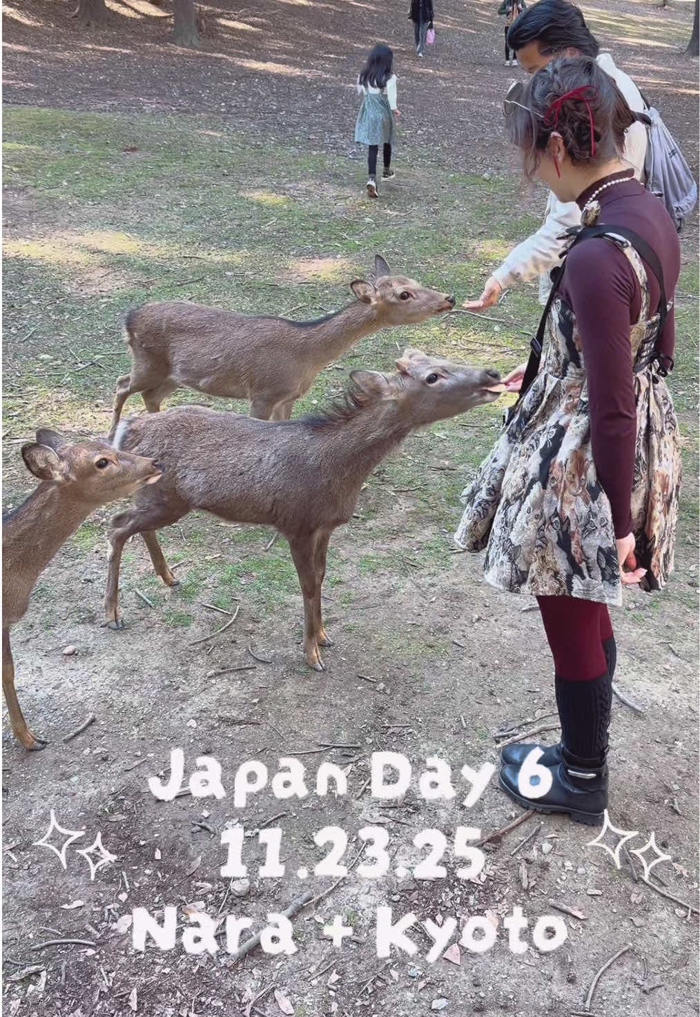 Japan day 6 mini vlog! π¦
Started the day with Nara (the deer were so polite, contrary to what I had heard!), then one of our best meals of