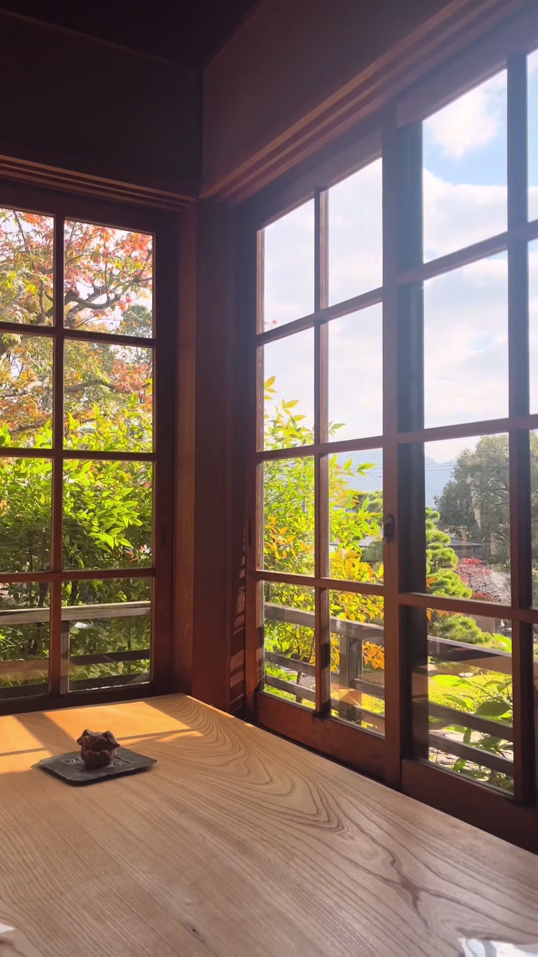 Japan day 11 mini vlog~
Ryokan relaxation, then back to Miyajima for a temple and mountain views ποΈ
#japan #japanvlog #miyajima #ryokan