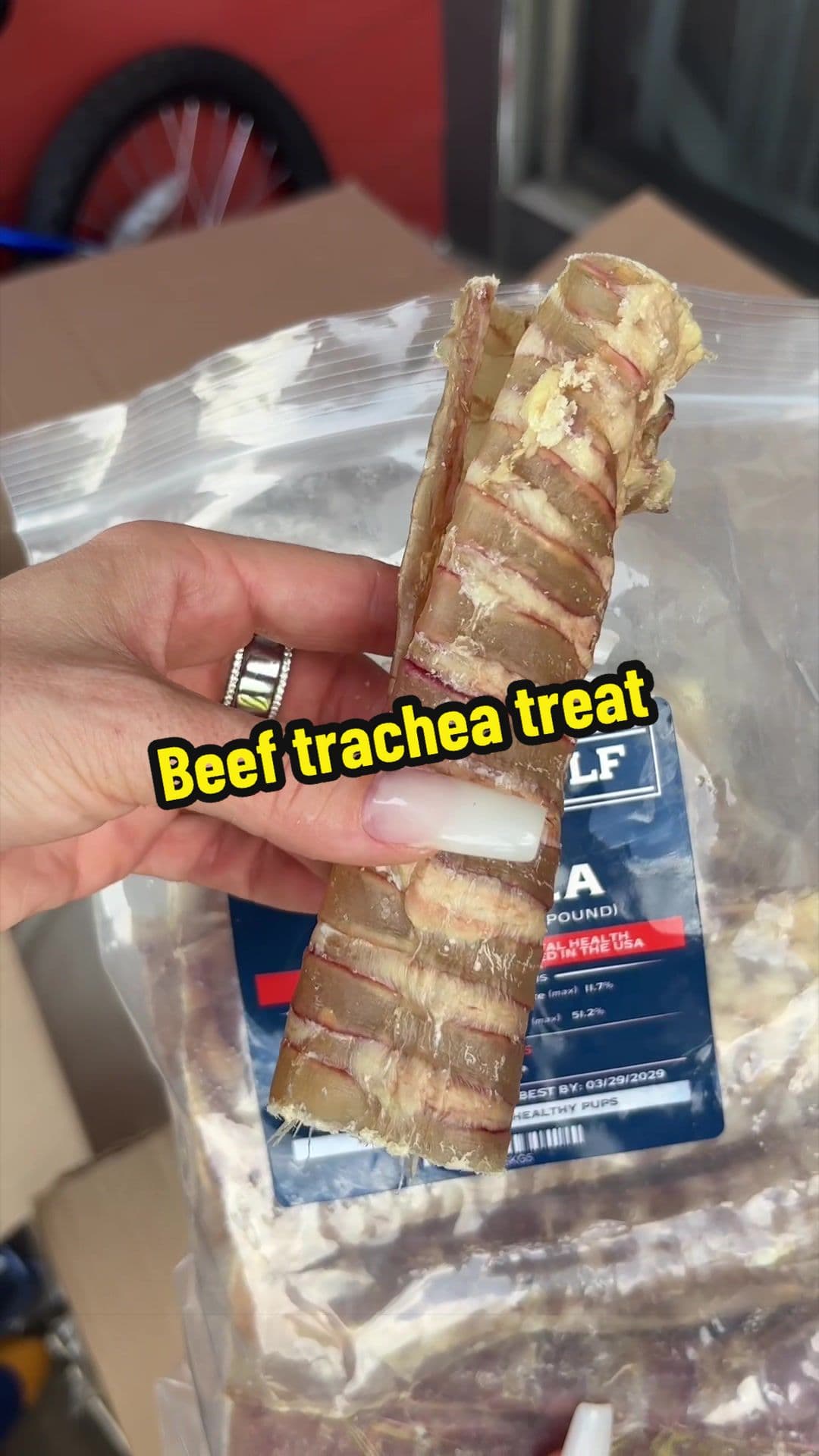 @Wild Wolf Bully Sticks