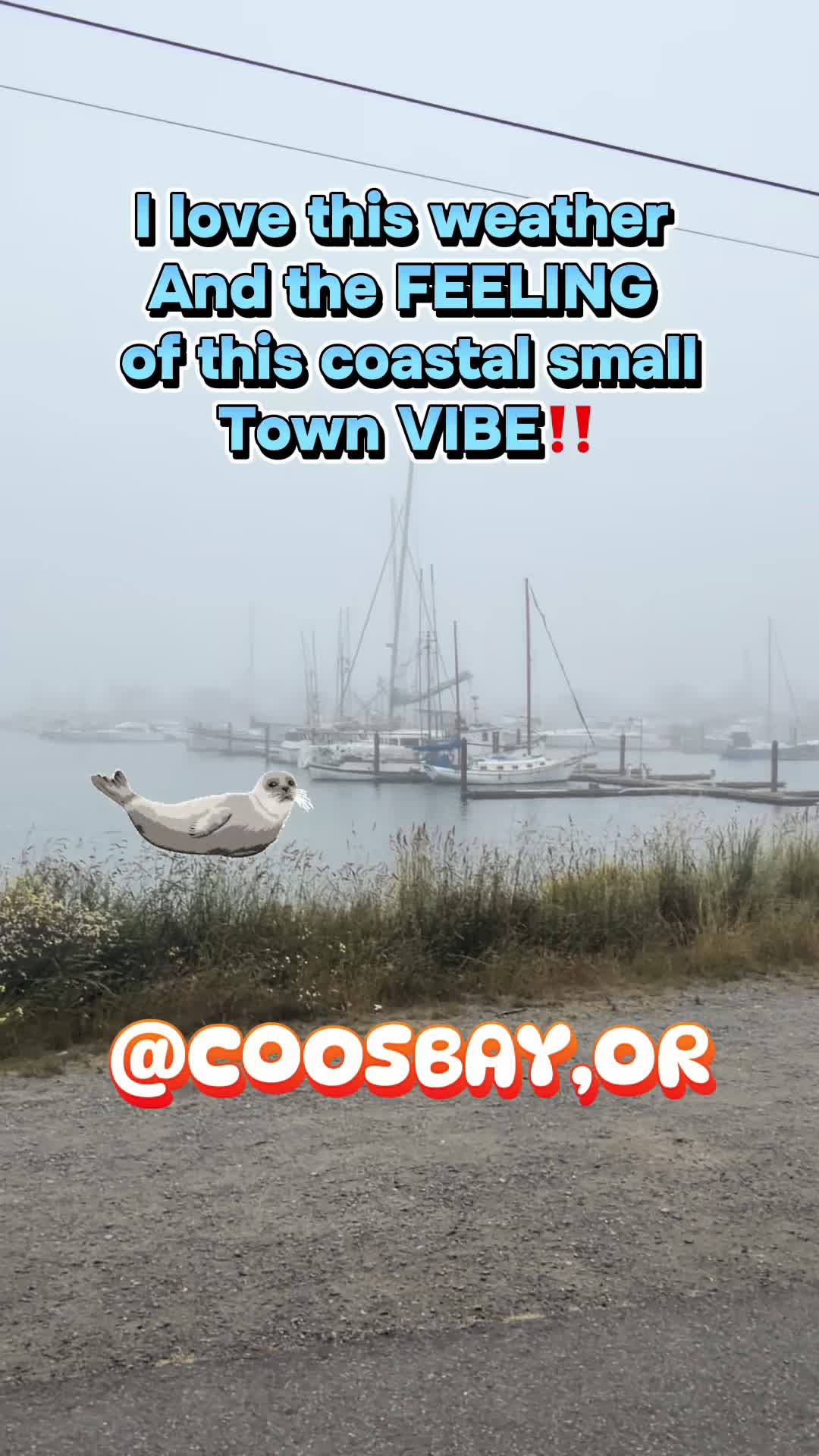 The PIER.. #coastaltown #coosbay #sailboats #seals #oysters what the heart wants.