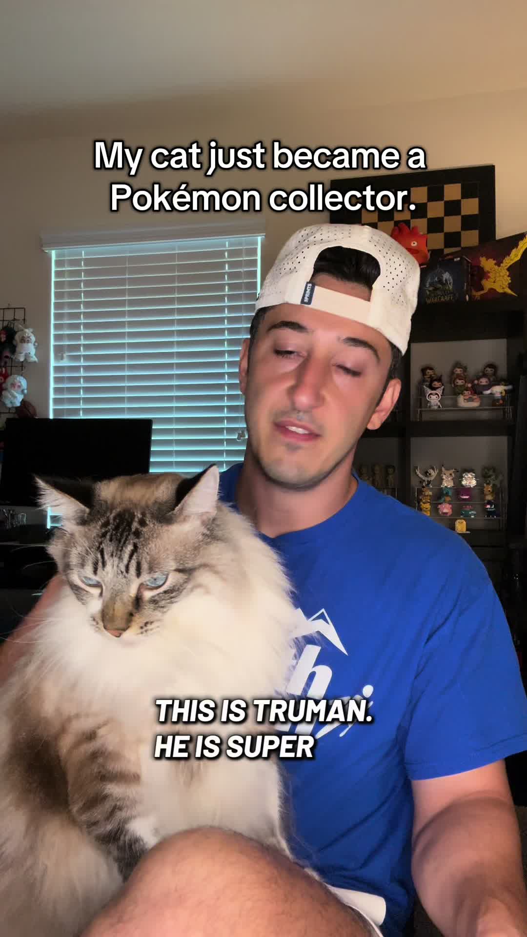 Pokémon got my pets collecting now. 😂 #pokemon #pokemonmerch #dogsoftiktok #catsoftiktok #pokemontcg