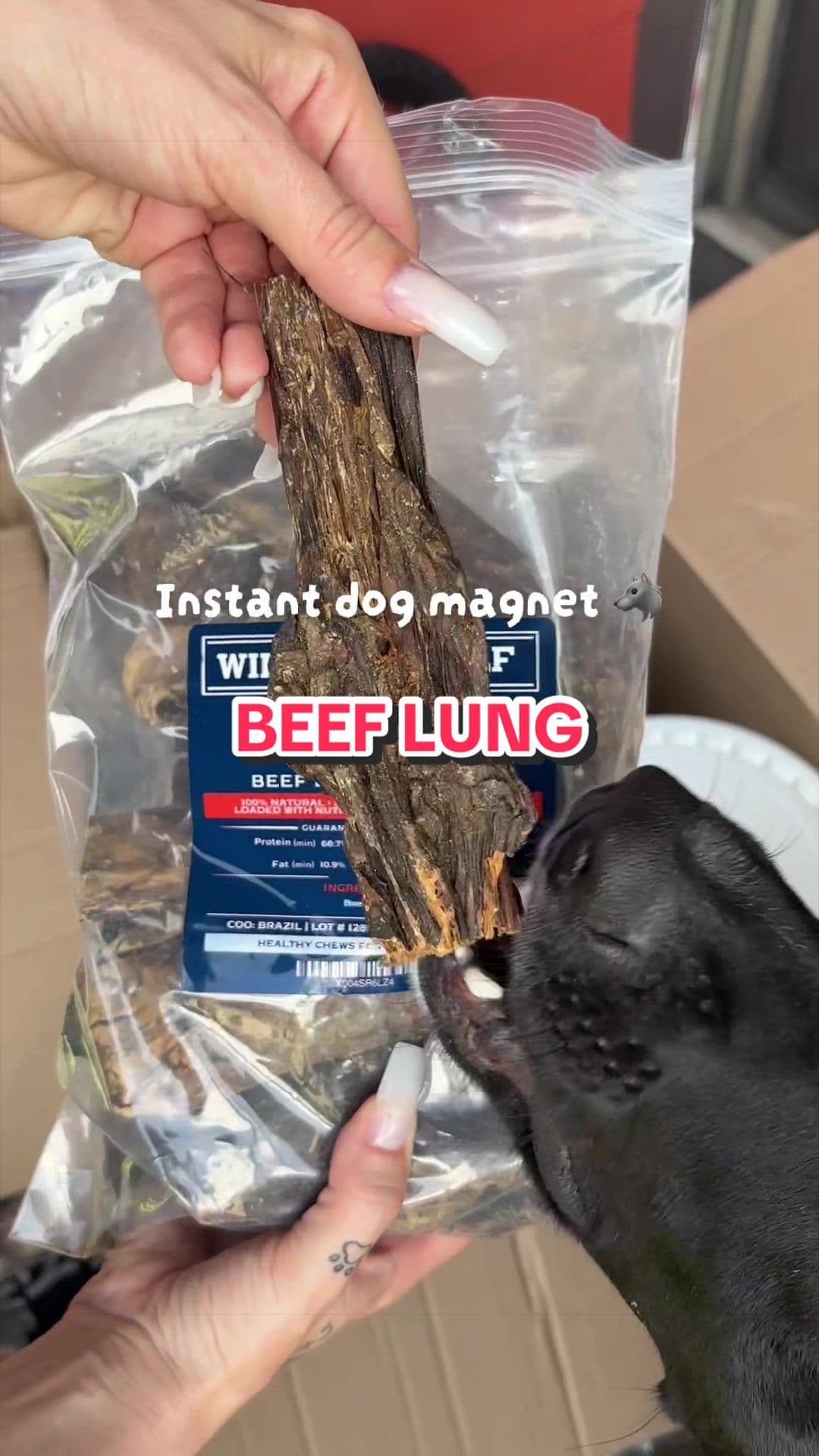 @Wild Wolf Bully Sticks