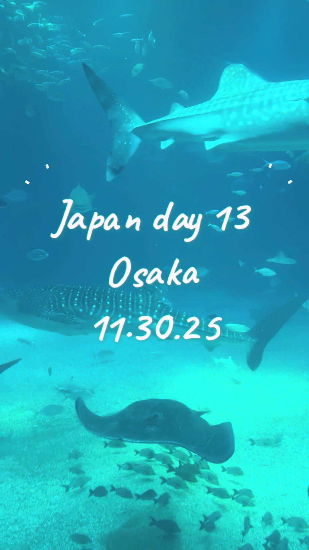 Japan day 13!
Osaka aquarium (whale sharks and ocean sunfish irl!!)
Ferris wheel city views
Delicious katsu
Dotonbori ππ€
#osaka #ja
